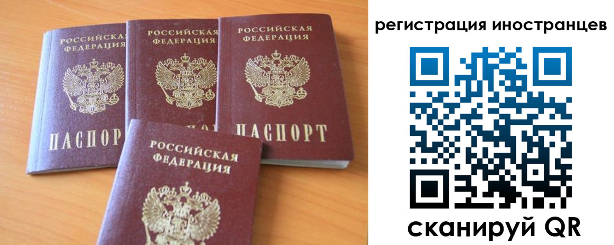 временная регистрация гарантия в Александровске